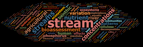 Cloud of words in various colors and sizes based on a Google Scholar profile. Some of the largest words include stream streams concentrations nutrient agricultural bioassessment benthic river variation human patterns phosphorus cellulose ecosystem ecosystems effects activities aquatic assessment best communities decomposition implications land landscape macroinvertebrate management manitoba nitrogen red