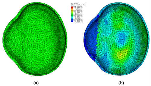 Figure: FE model of chick eye deformation under IOP. 