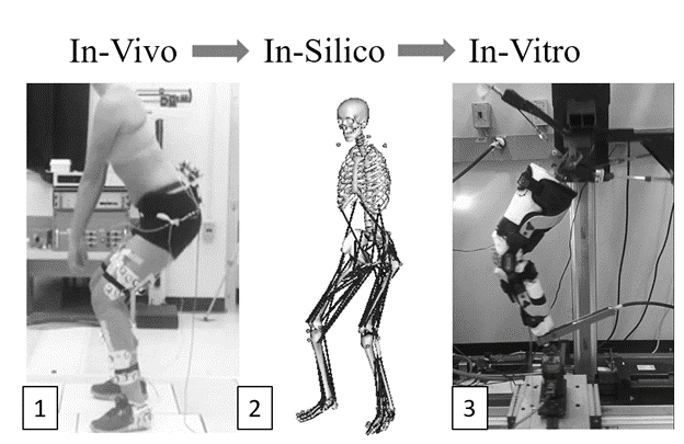 Knee braces in-vivo, in-silico, and in-vitro