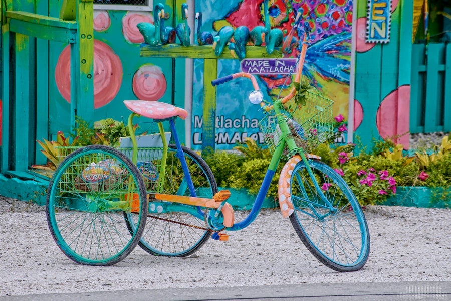 Funky Bike