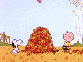 Video of Charlie Brown and Snoppy watching a leaf fall into a leaf pile.
