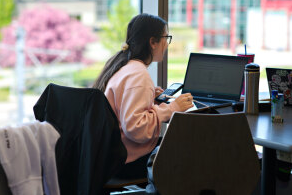 Student sitting at a desk using a computer