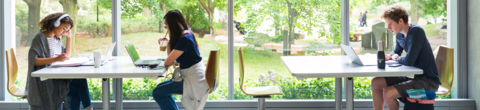 students studying inside QNC, overlooking the Rock Garden