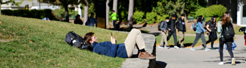 Man lying in the grass looking at his phone