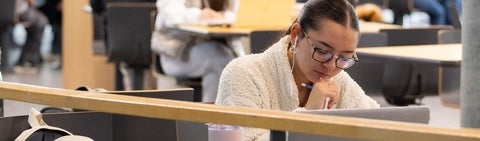 girl looking at her laptop