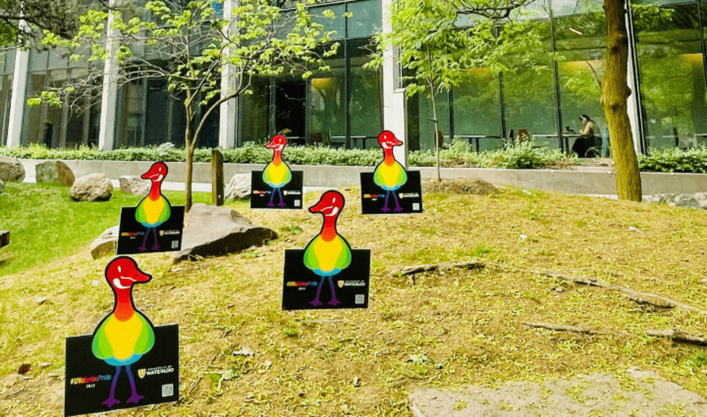 rainbow goose on campus