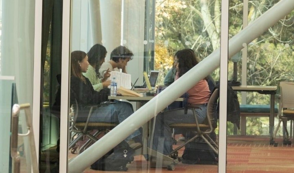 A group of students studying in Hagey Hub.