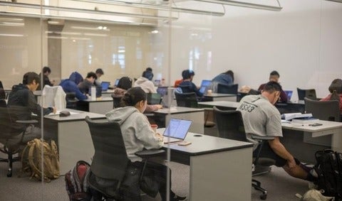Students sitting in a lecture.