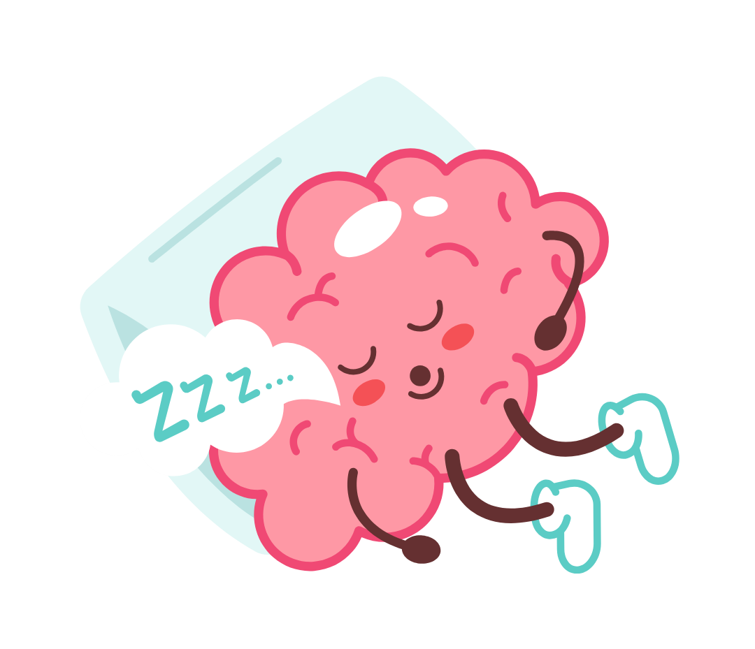 illustration of a sleeping brain