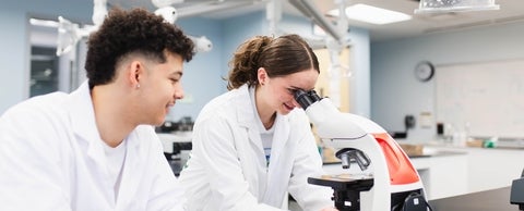 Students in a laboratory