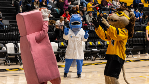 UWaterloo mascots on the basketball court