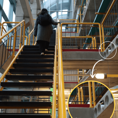 The goose is in one of the round holes on the right side of the stairwell