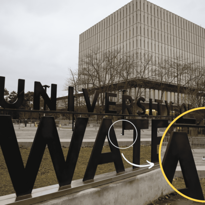 The goose is in the background beside the light post on the patio