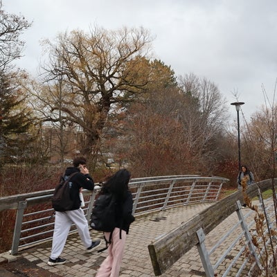 The Laurel Creek bridge with students walking by on an overcast day surronded by trees