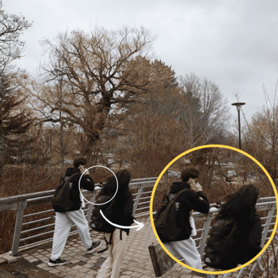 The goose is sitting on the handrail of the bridge