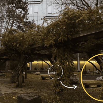 The goose is partway up the vine-covered pillar