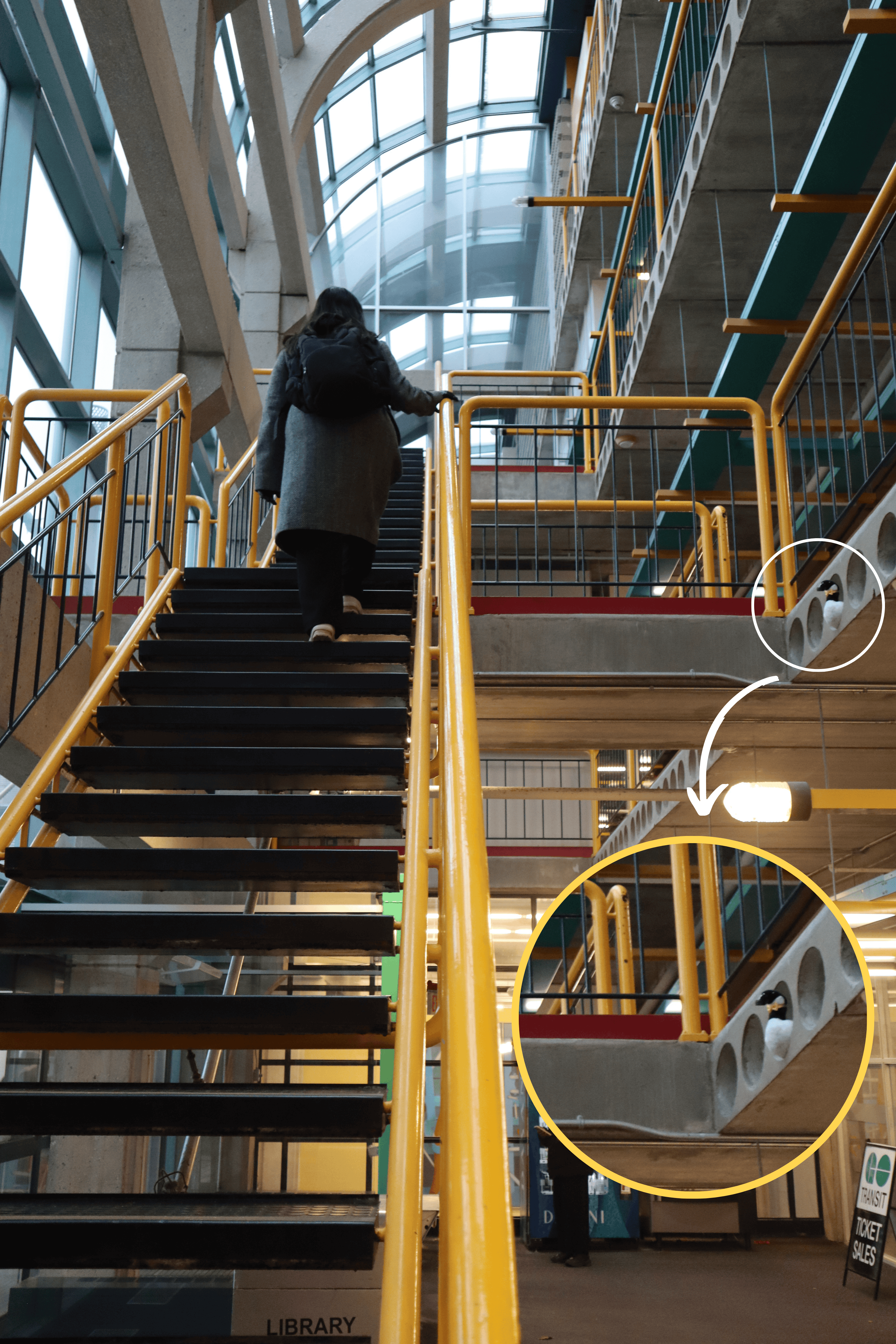 The goose is in one of the round holes on the right side of the stairwell