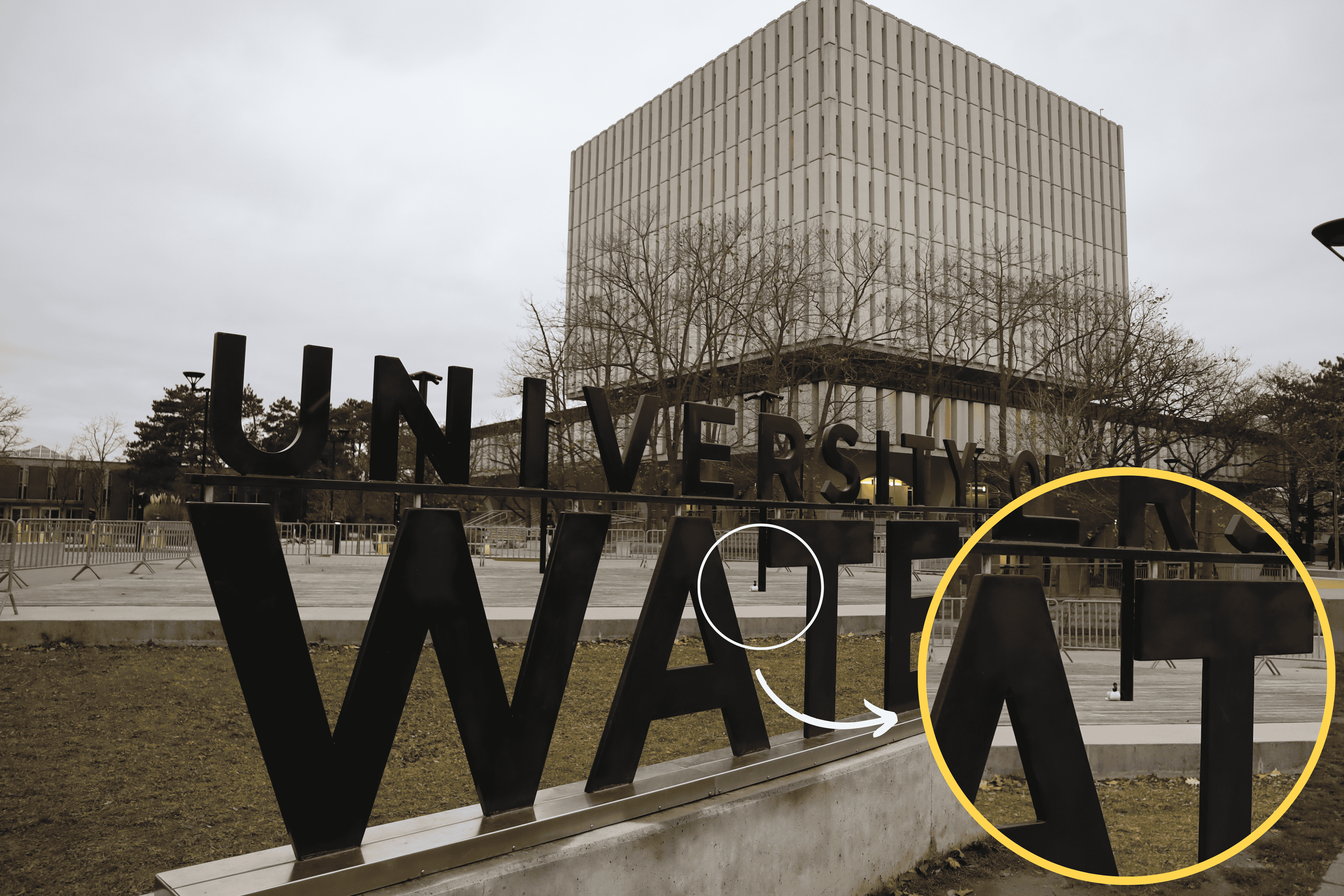 The goose is in the background beside the light post on the patio