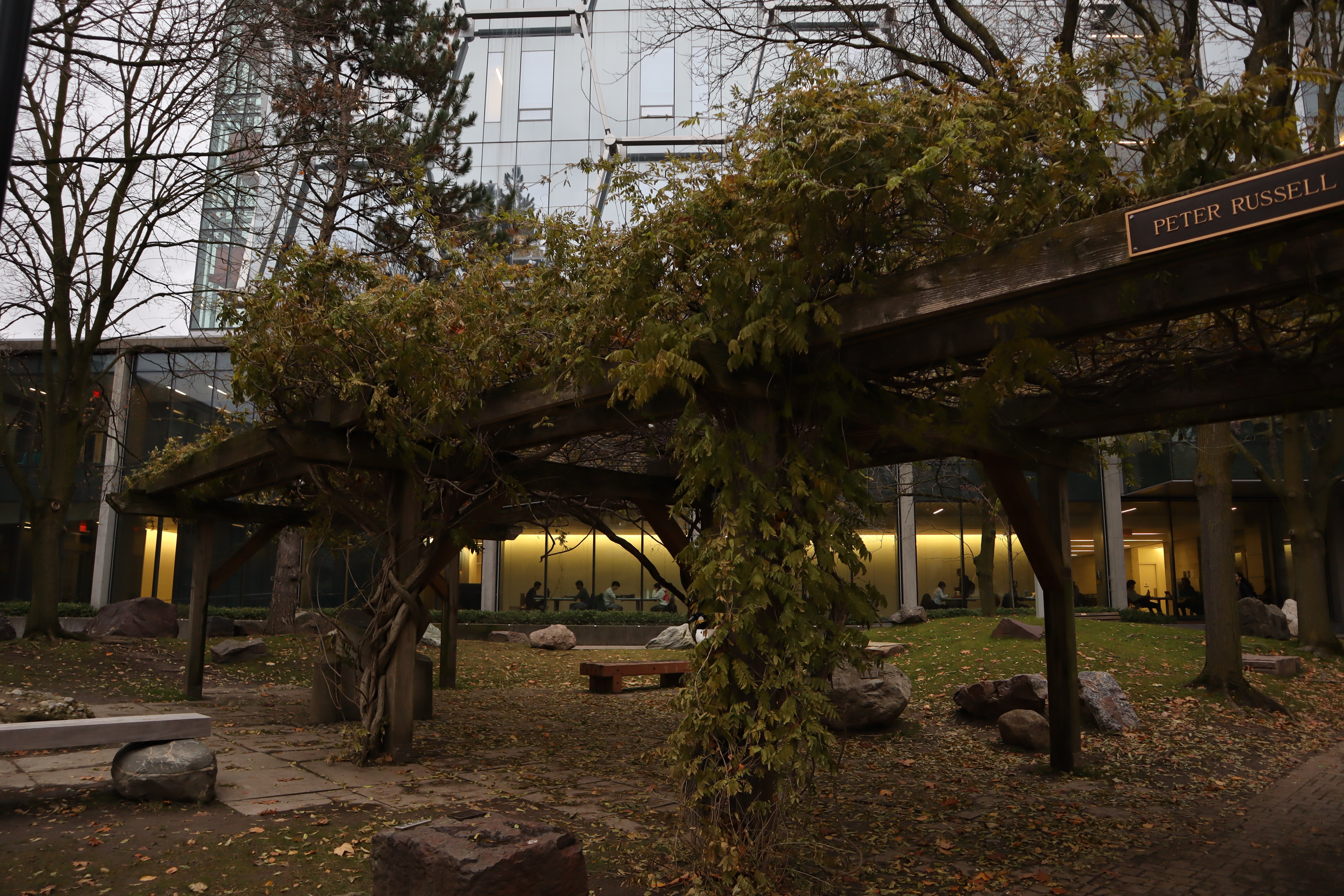 Wooden pergola covered in vines in the Peter Russell Rock Garden at the University of Waterloo, with surrounding trees, rocks, and students visible studying inside the adjacent building.