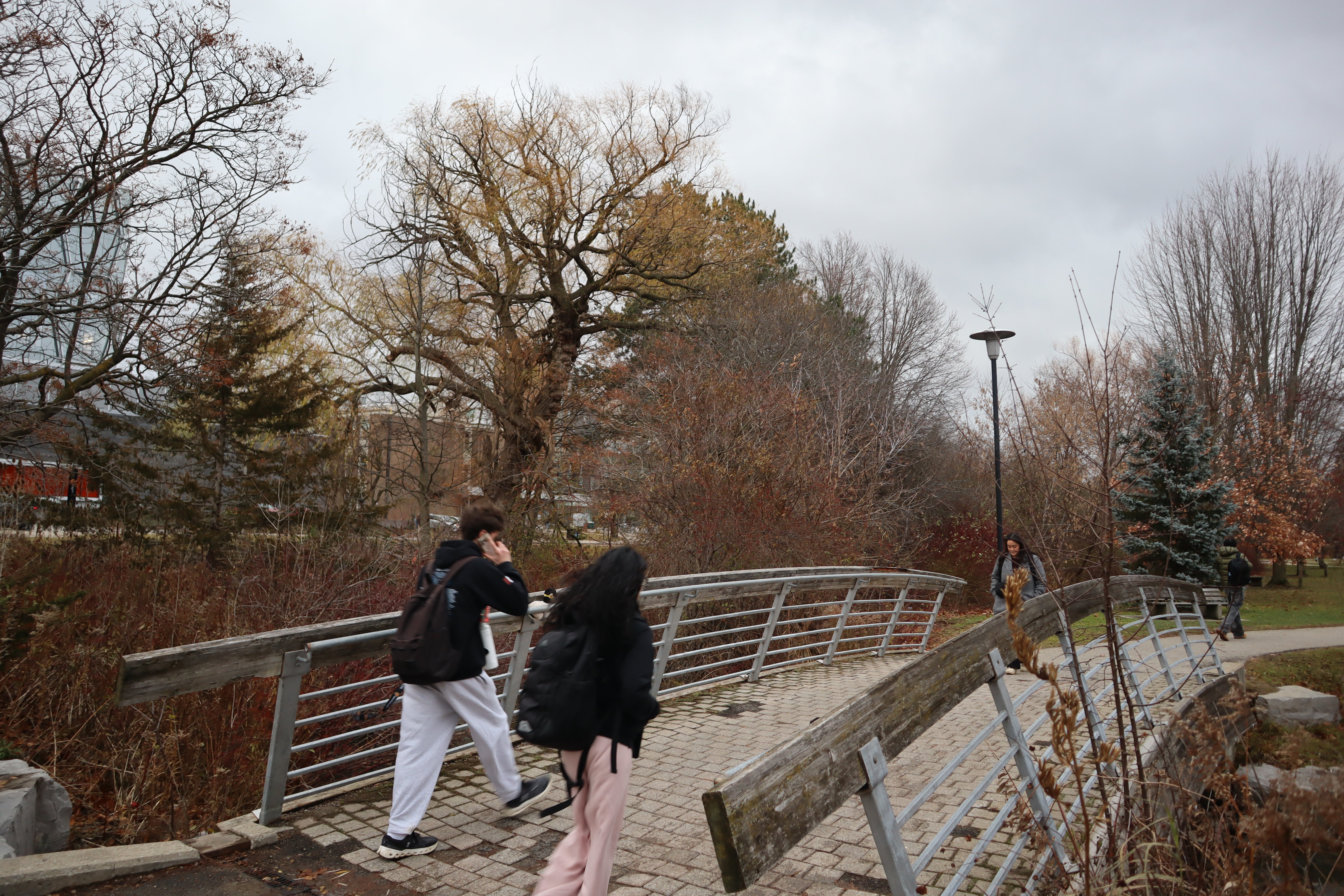 The Laurel Creek bridge with students walking by on an overcast day surronded by trees