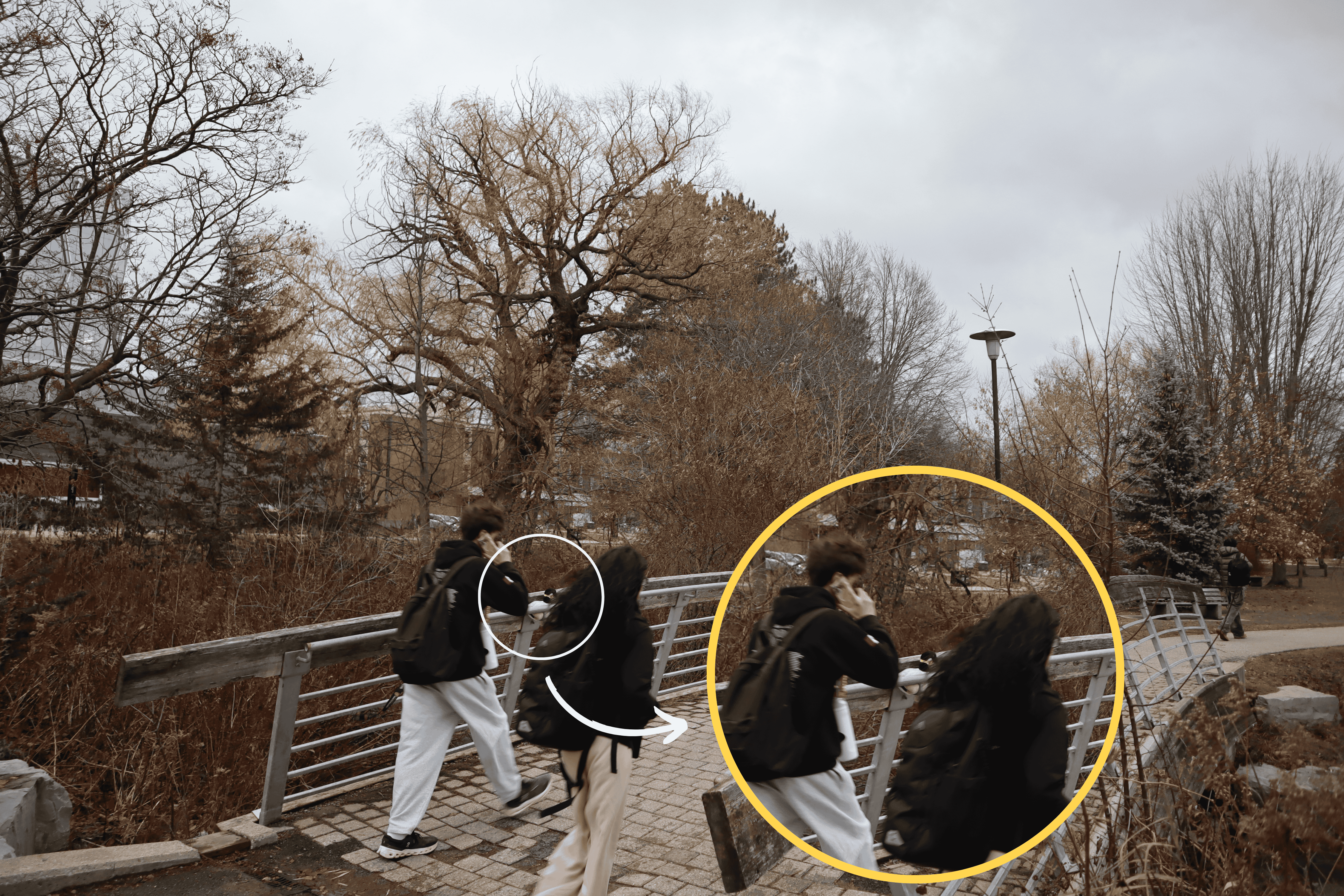 The goose is sitting on the handrail of the bridge