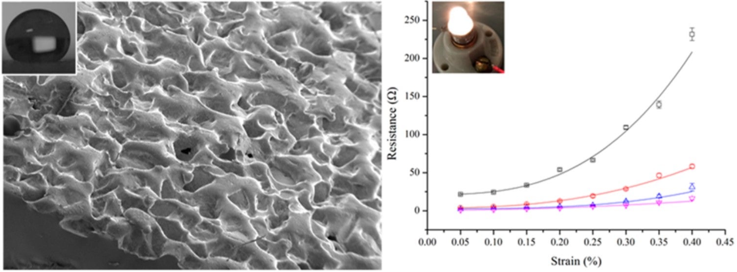 Durable Microstructured Surfaces: Combining Electrical Conductivity with Superoleophobicity