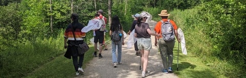 students walking down a path surrounded by nature