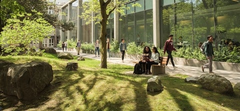 Students studying outside QNC