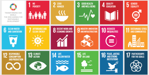 Grid of UN Sustainable Development Goals