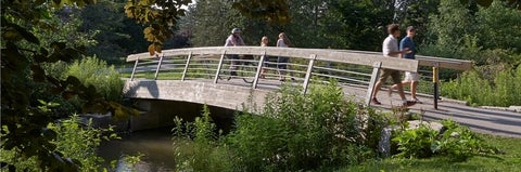 bridge over creek