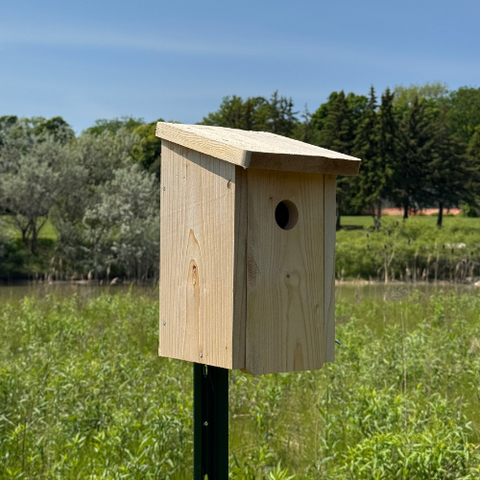 Bird box on North Campus Environmental Reserve