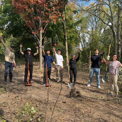 Student team helping with buckthorn invasive species pull