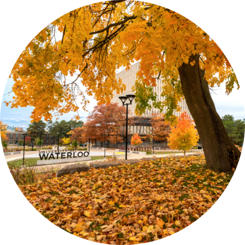 A fall tree by the University of Waterloo sign