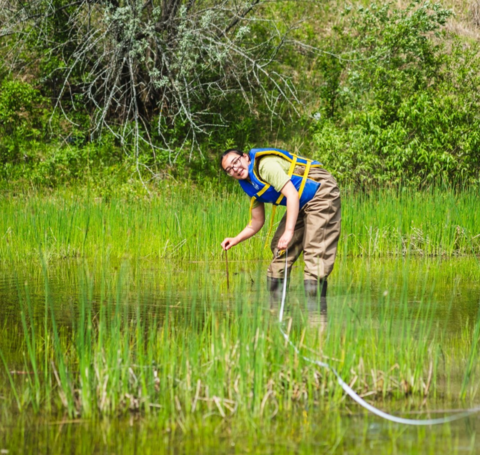 Amelia in wetlands doing field work 