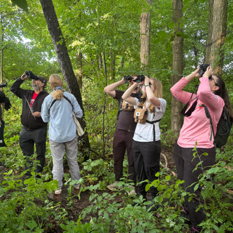 Students looking for birds with binoculars