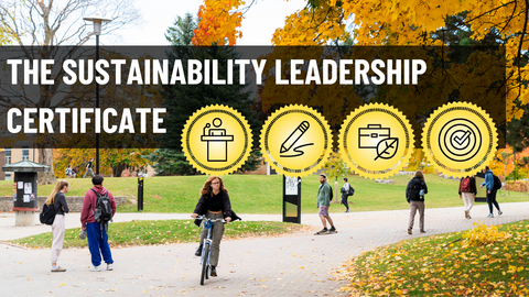 Sustainability leadership certificate 