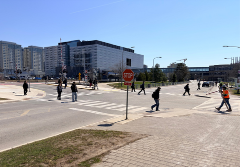 William Tutte intersection