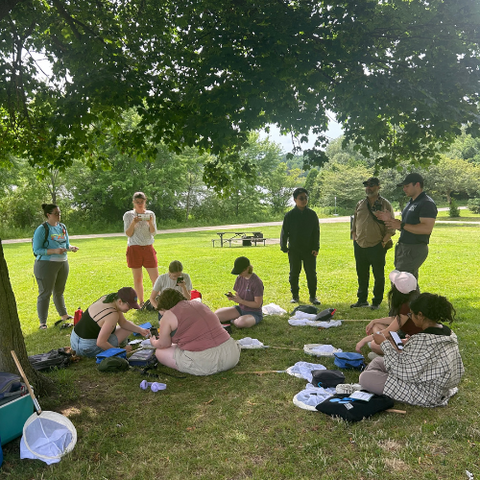 Attendees looking for bees at BioBlitz 2025