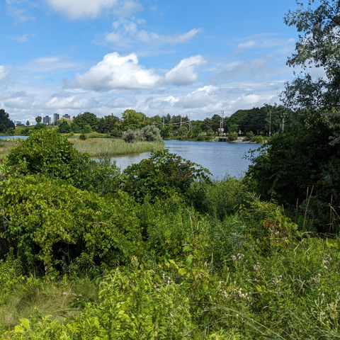 Photo of Strauss Lake 