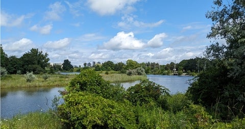 Columbia Lake on a sunny day