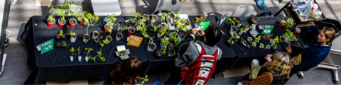 A table with several seedlings placed on it. People are standing in front browsing.