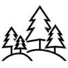 Forest line icon