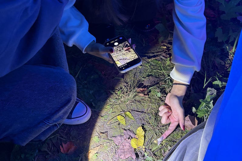 two students shining flaslight on moth