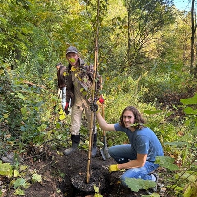 Two people planting a tree