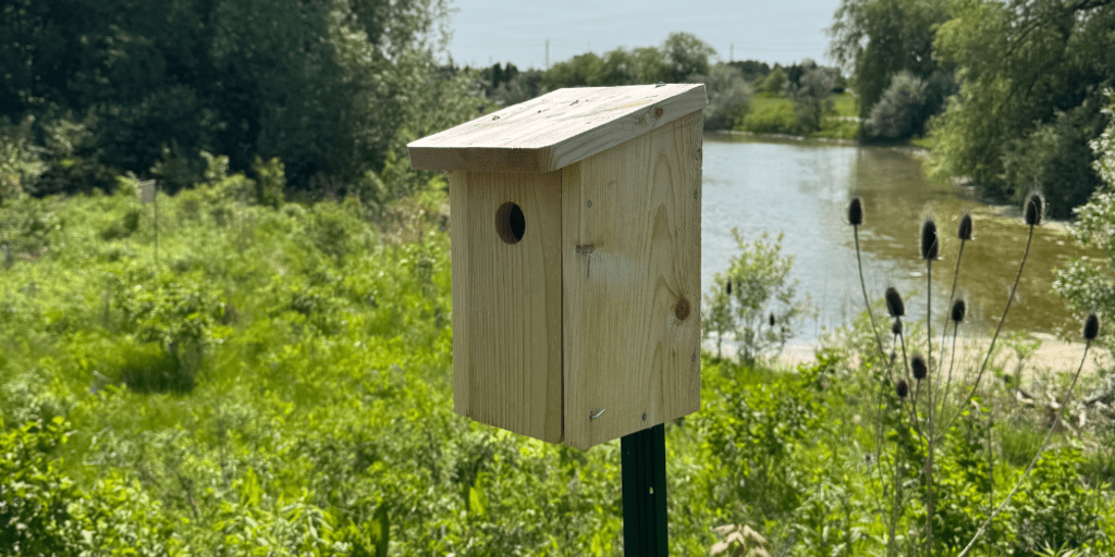 Bird box at Columbia Lake