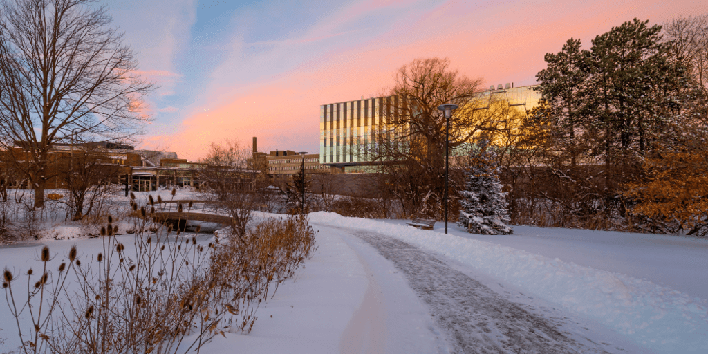 Bridge from Health Services facing QNC in winter