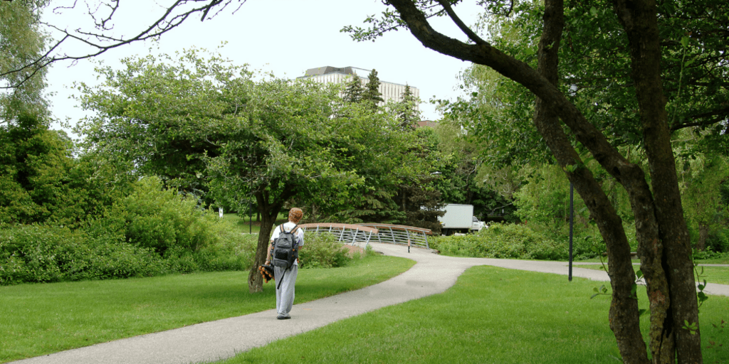 Man walking on road towards bridge, holding rollerblades in summer