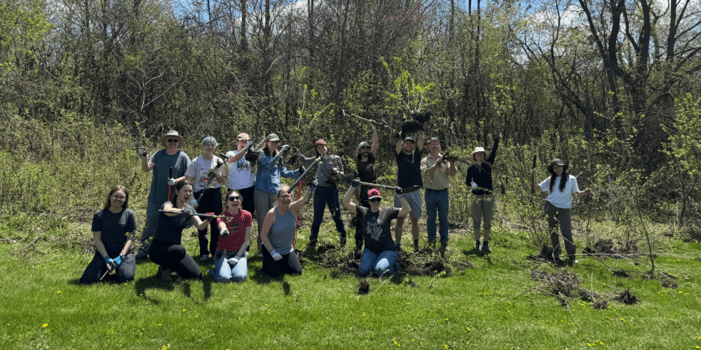 Volunteers at Buckthorn Pull by Healing Forest