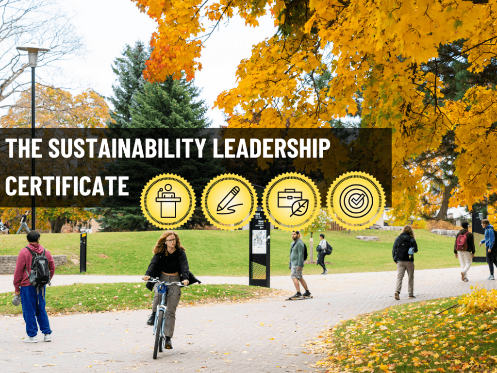 Sustainability leadership certificate 