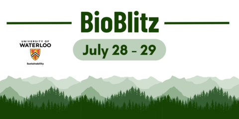 BioBlitz header
